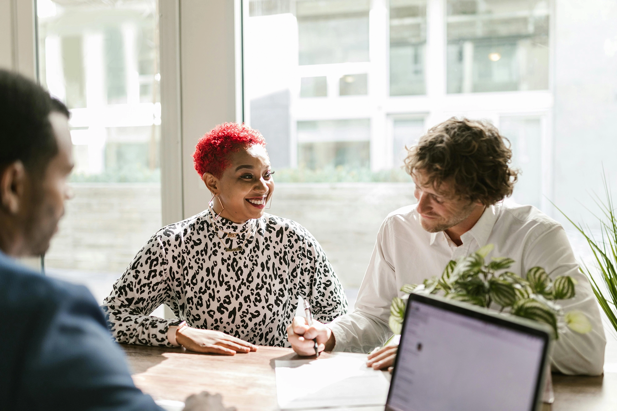 Tax Planning Optimization